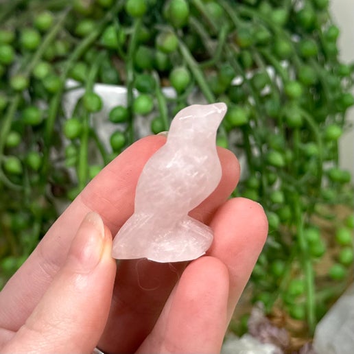 Rose Quartz Bird (B968)