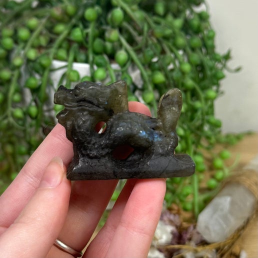 Labradorite Dragon (H805)