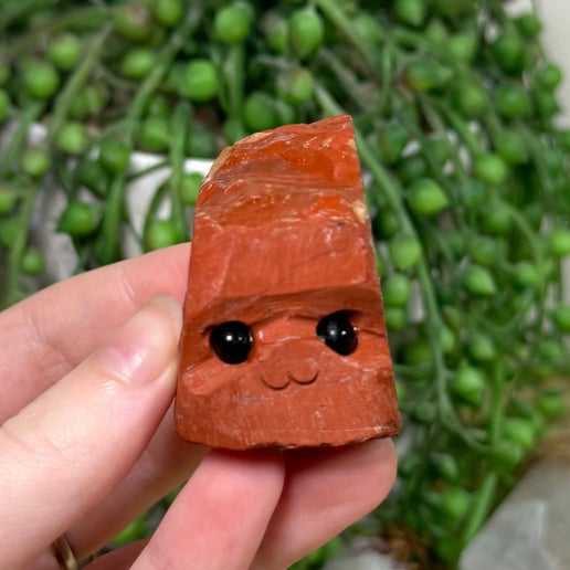 Red Jasper Pet Rock (L394)