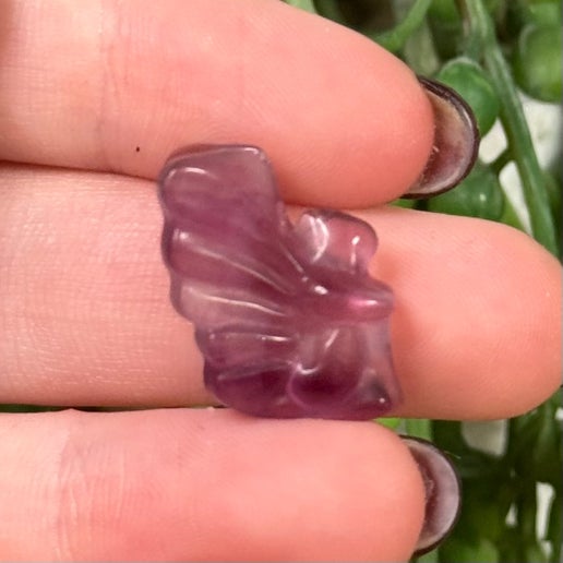 Fluorite Mini Pixie