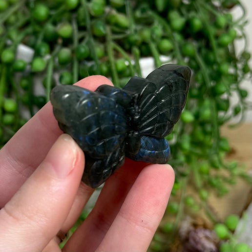 Labradorite Butterfly (G736)