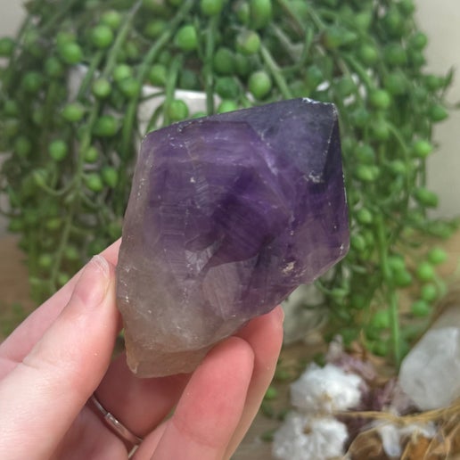 Amethyst Root (J745)