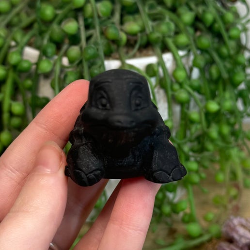 Black Obsidian Turtle (J594)