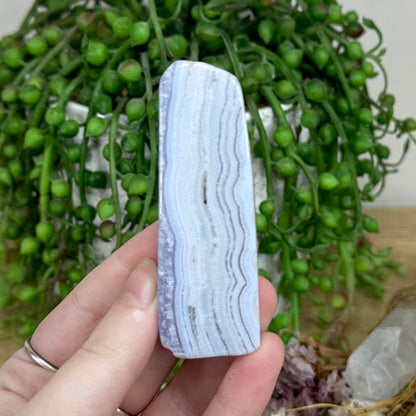 Blue Lace Agate Slice (M65)