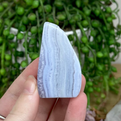 Blue Lace Agate Slice (M59)