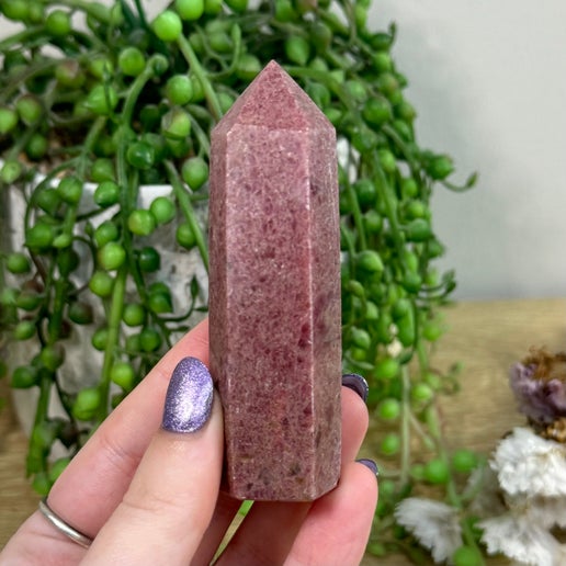Rhodonite Point (E781)