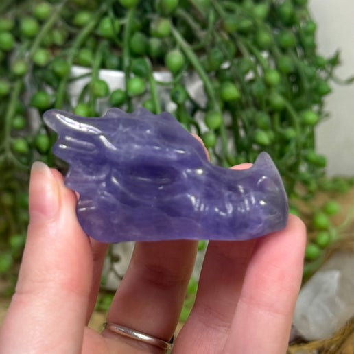 Purple Fluorite Dragon Head (B609)