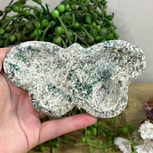 Green Kyanite Butterfly Bowl (D463)