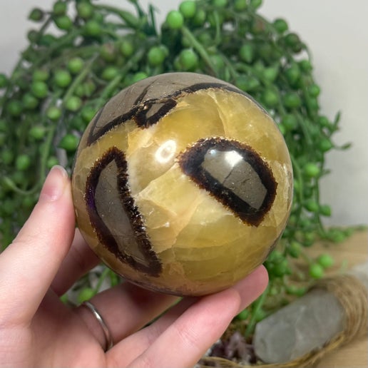 Septarian Sphere (J303)