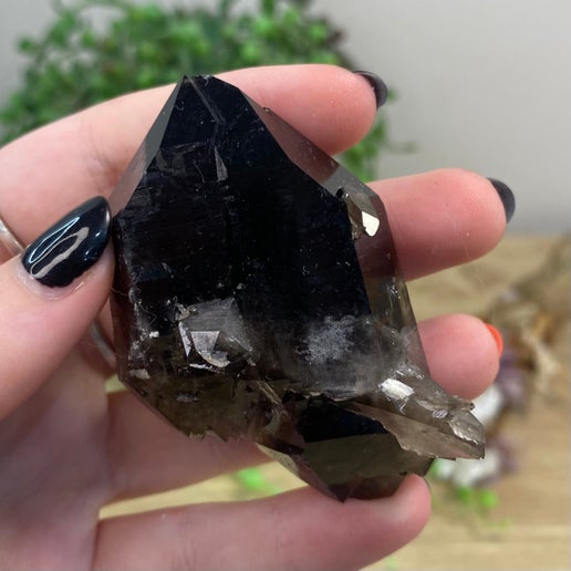 Smokey Quartz Cluster (F292)