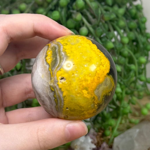 Bumble Bee Jasper Sphere (G227)