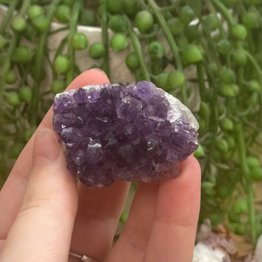 Amethyst Cluster (G99)