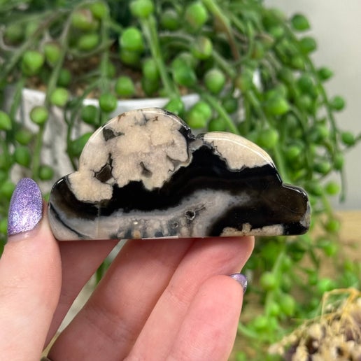 Black Flower Agate Cloud 1