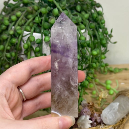 Amethyst / Agate Point (E299)