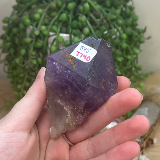 Amethyst Root (J740)