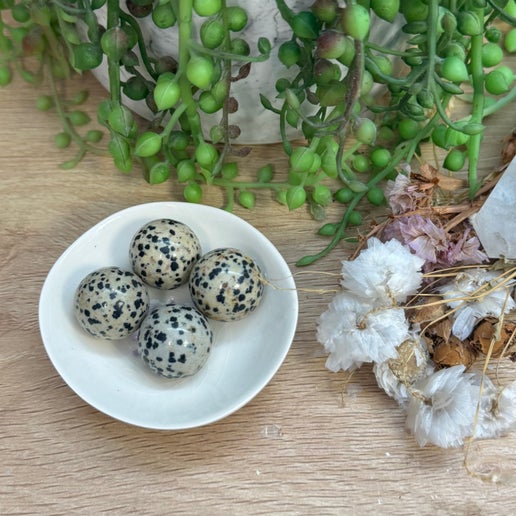 Dalmatian Jasper Mini Sphere