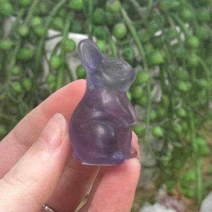 Purple Fluorite Bunny (K326)