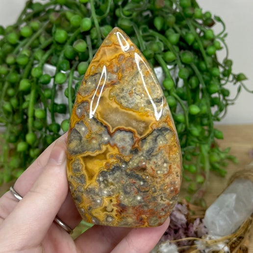 Crazy Lace Agate Arch Free Form (M52)