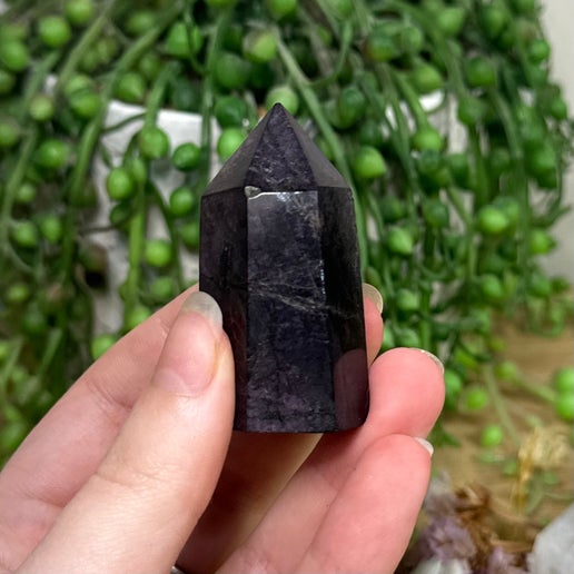 Purpurite Point (E783)