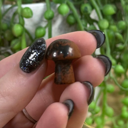 Mahogany Obsidian Mini Mushroom