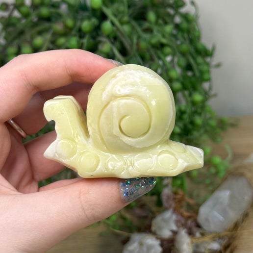 Yellow Jade Snail (F991)