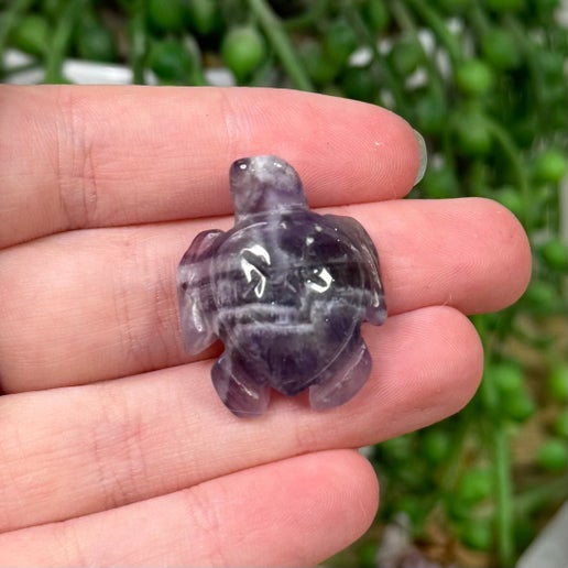 Dream Amethyst Mini Turtle