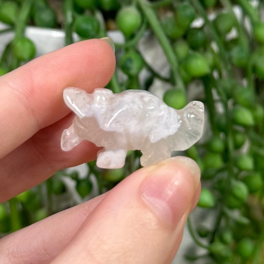 Flower Agate Small Triceratops