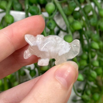 Flower Agate Small Triceratops