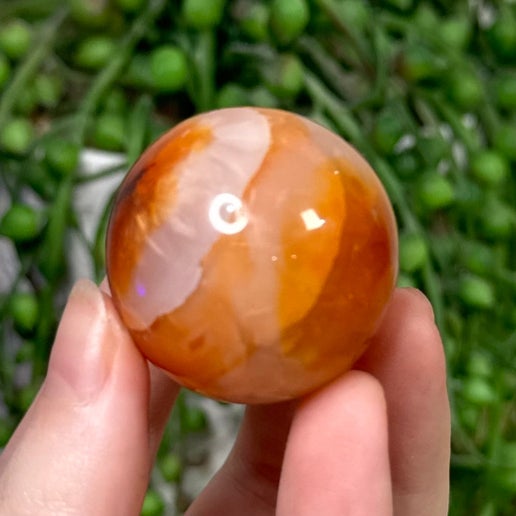 Carnelian Sphere 6