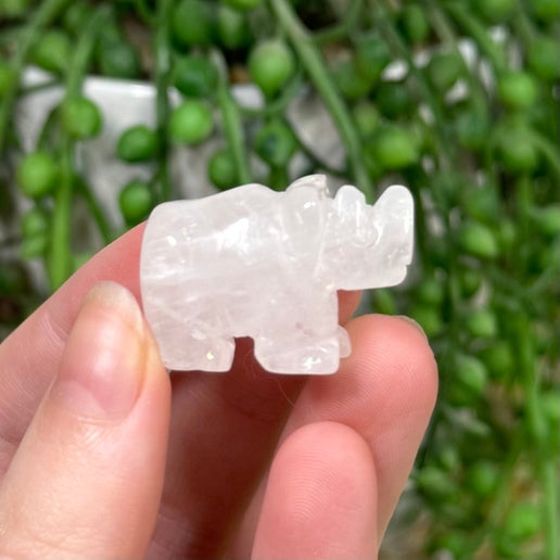 Clear Quartz Rhino