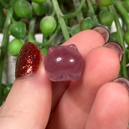 Fluorite Mini Cat