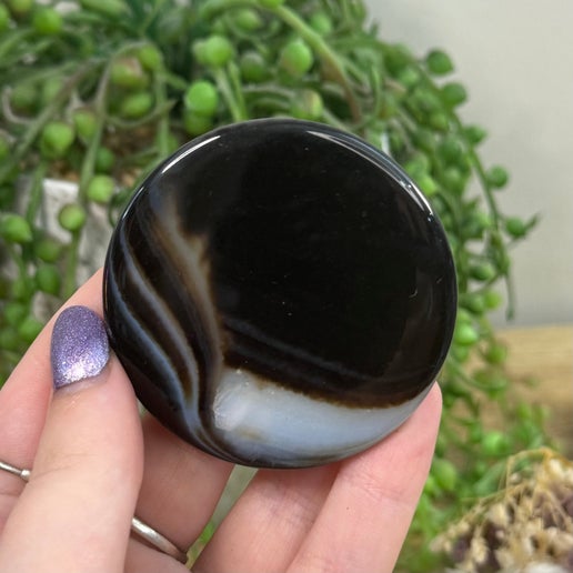 Black Agate Disc (F341)