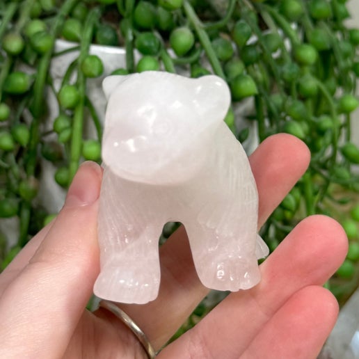 Rose Quartz Bear (K484)