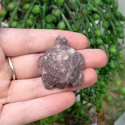 Lepidolite Turtle (B978)