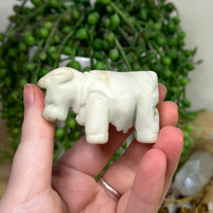 Caribbean Calcite Cow (E312)