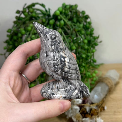 Picasso Jasper Bird (K645)