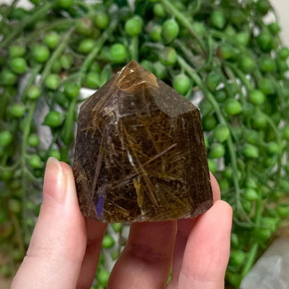 Rutile Point (D147)