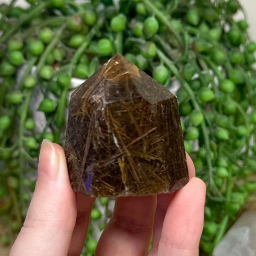 Rutile Point (D147)