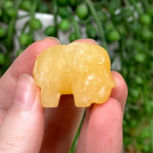 Yellow Calcite Elephant (J365)