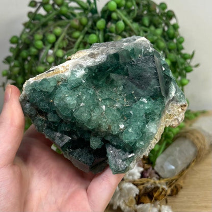 Green Cubic Fluorite Cluster (L380)