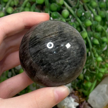 Thousand Layer Sphere (D571)