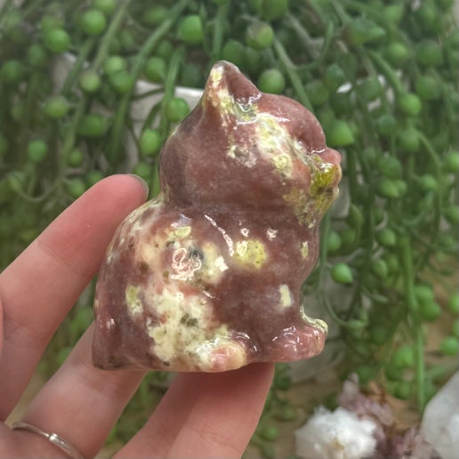 Plum Blossom Jasper Cat (J788)