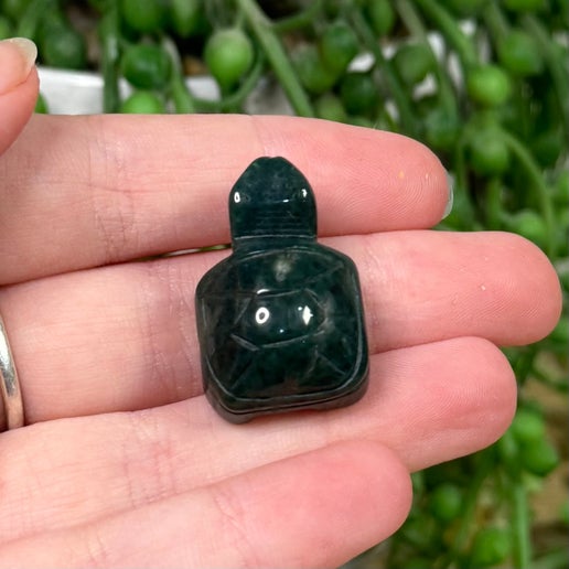 Ocean Jasper Mini Turtle