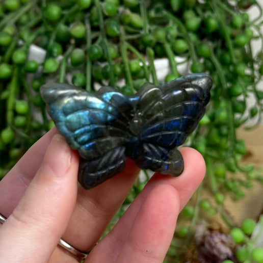 Labradorite Butterfly (G737)