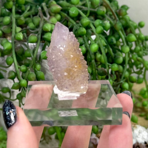 Spirit Quartz Cluster (J696)