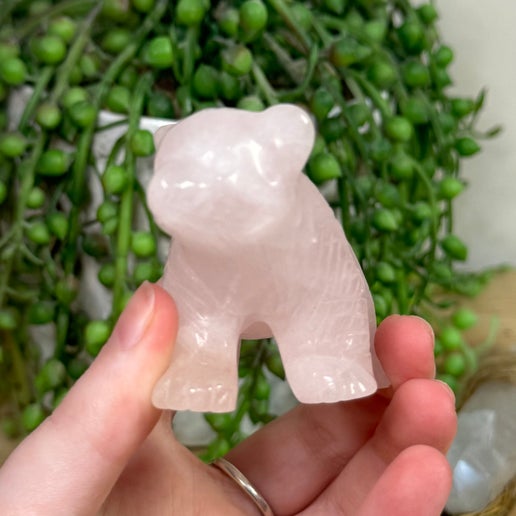 Rose Quartz Bear (K483)