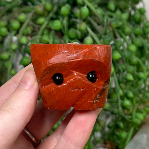 Red Jasper Pet Rock (L397)