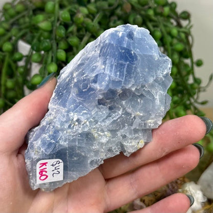 Blue Celestite Cluster (K160)