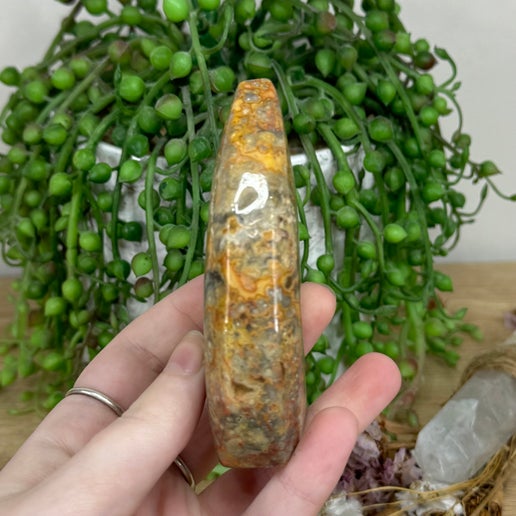 Crazy Lace Agate Arch Free Form (M52)