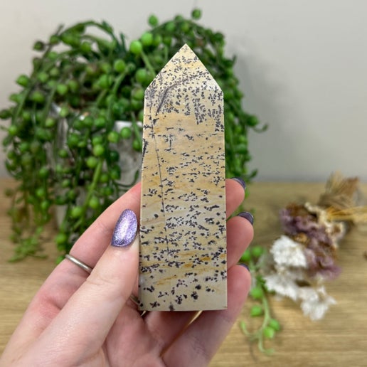 Picture Stone Jasper Point (H766)